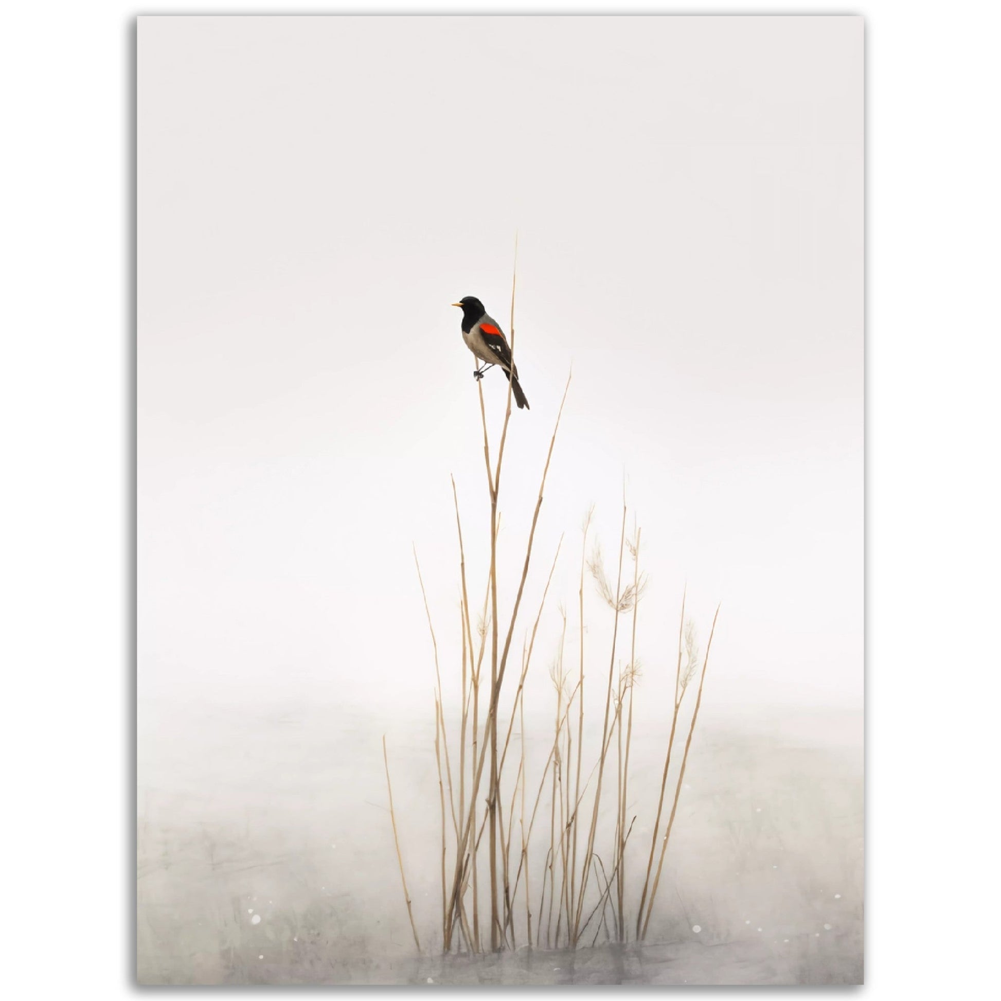 A bird perched on top of reeds, creating a captivating Bird In Fog Wall Art in the fog.