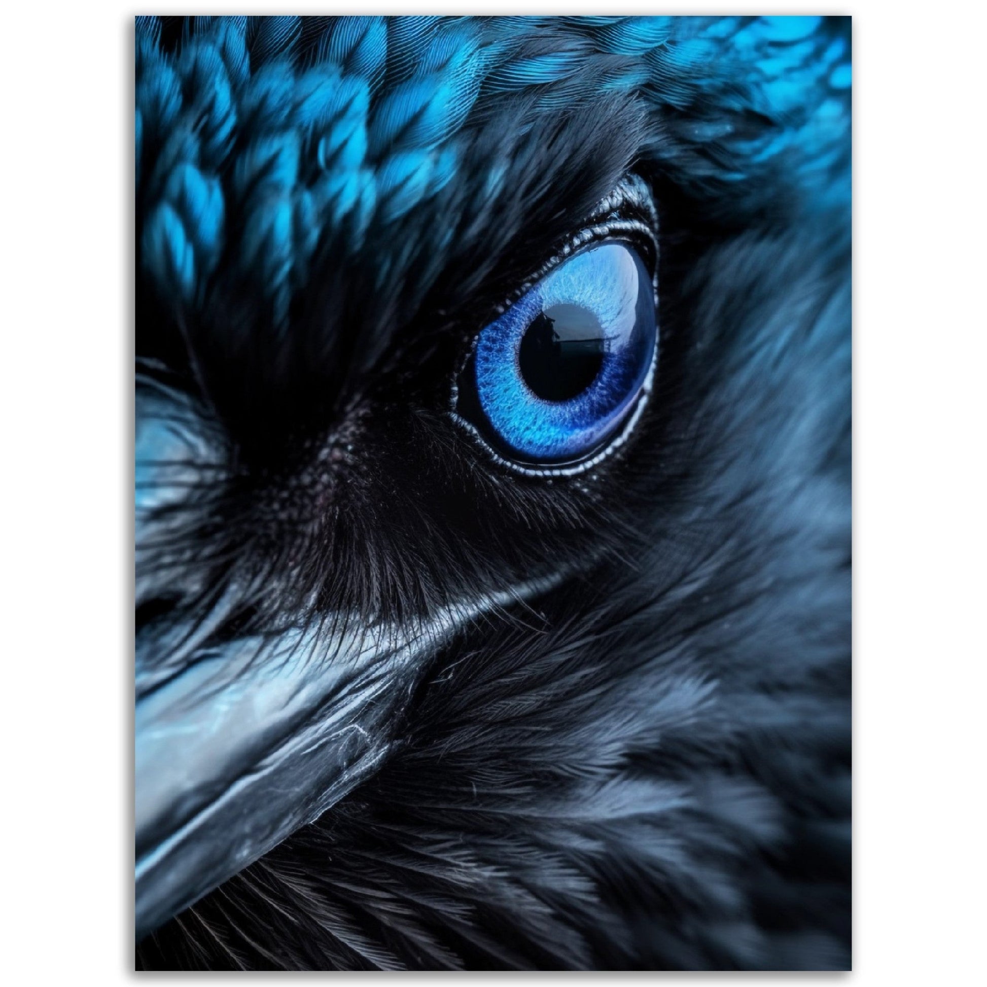 A close up of Odin's Raven eye with Pop Art blue eyes, perfect for high quality posters for room decor or poster wall art.