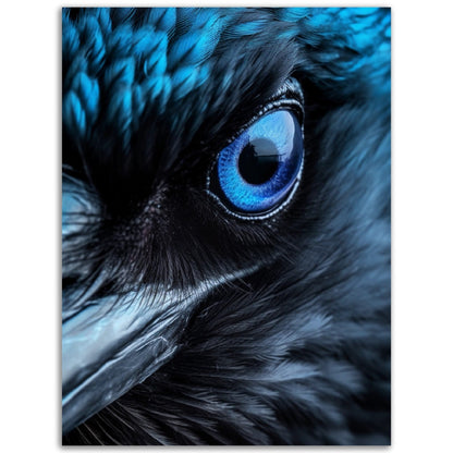 A close up of a crow's eye with blue eyes, perfect for Odin's Raven Colored Wall Art.