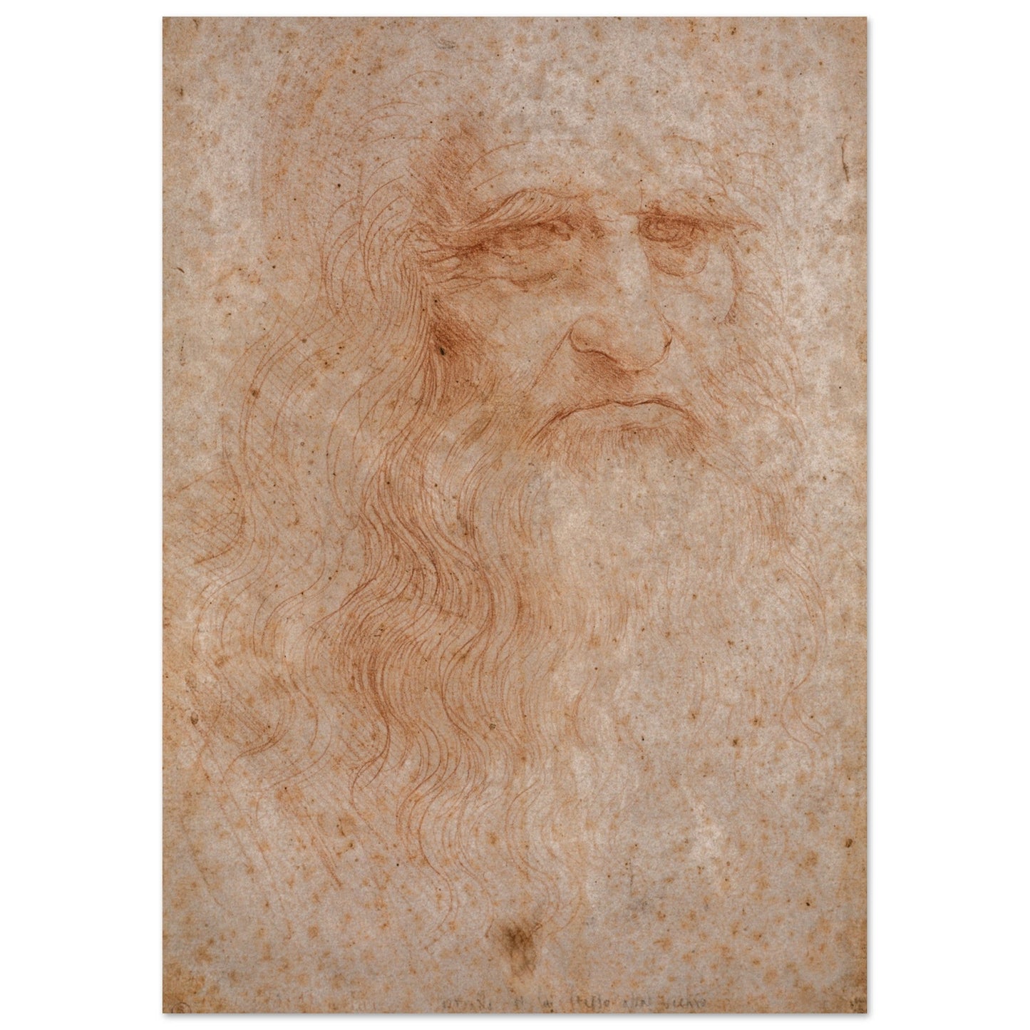 High Quality Posters of Self-portrait in Red Chalk for Room.