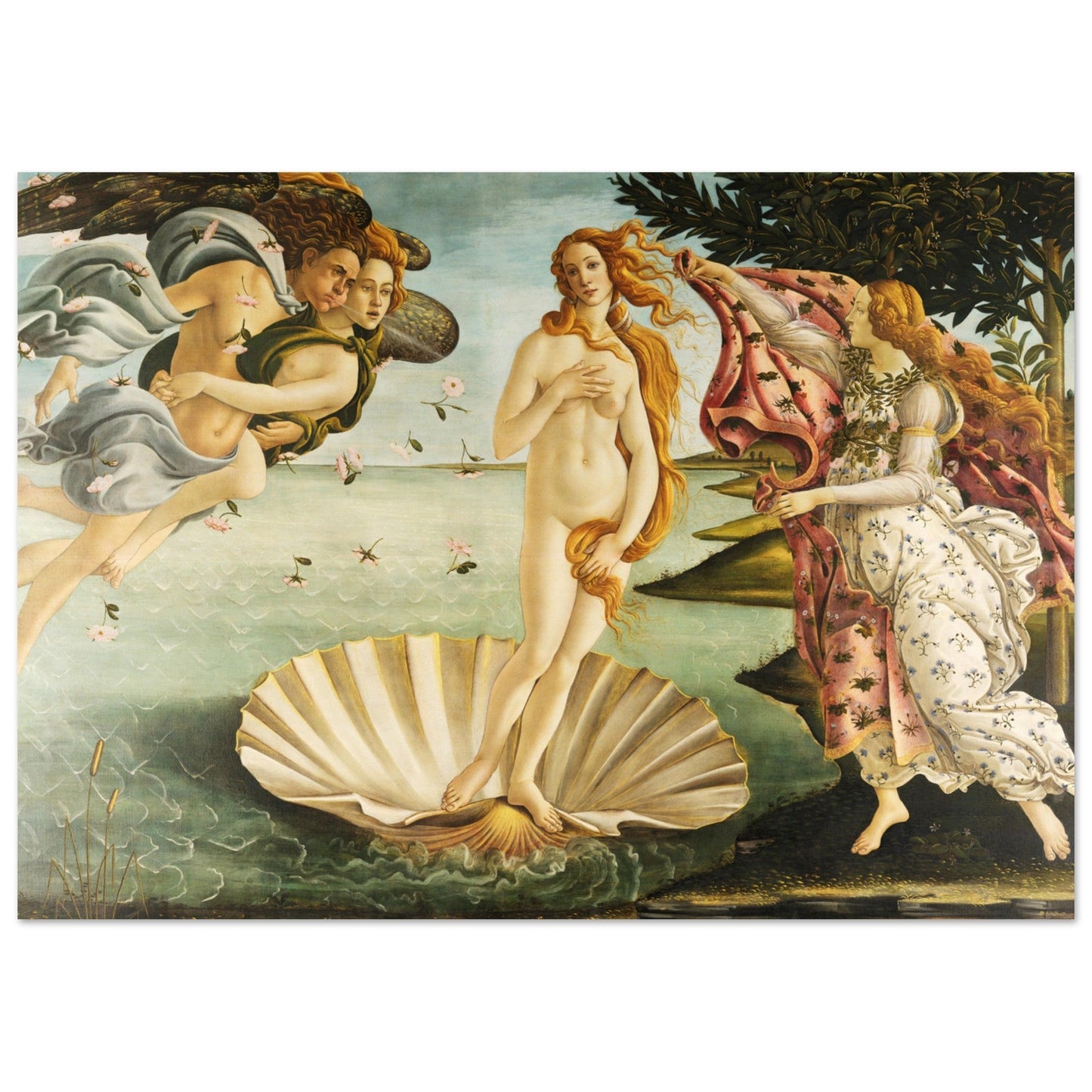The "The Birth of Venus" by Renato Venezia is a captivating Poster Wall Art that will enhance any room. With its Pop Art colors and exquisite details, this artwork is perfect for those looking to add