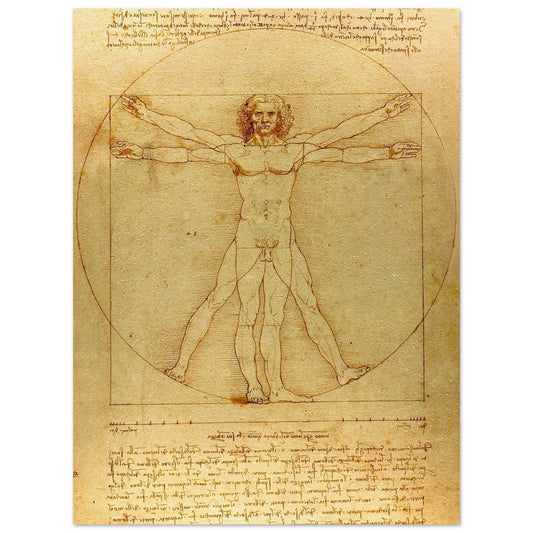 Traditional Art's masterful exploration of the human body comes to life in this stunning Vitruvian Man wall art poster. Immerse yourself in the intricacies of his colored sketches, perfect for elevating your space.
